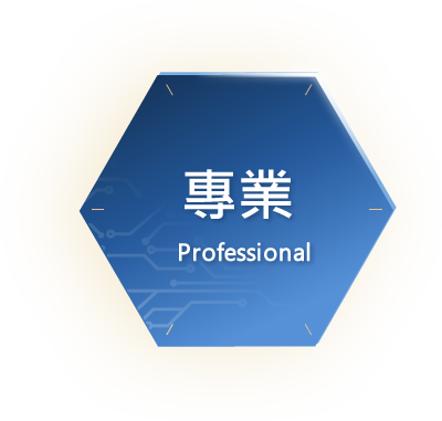 專業